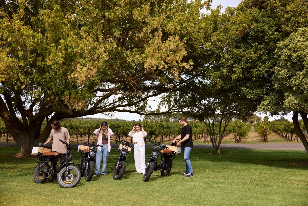 On the Road - Discovering Coonawarra