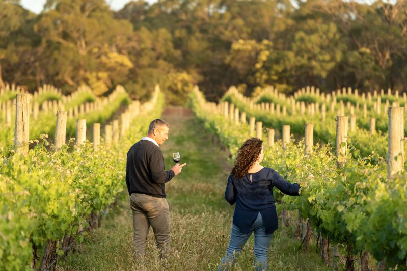 On the Road - Discovering Kingston