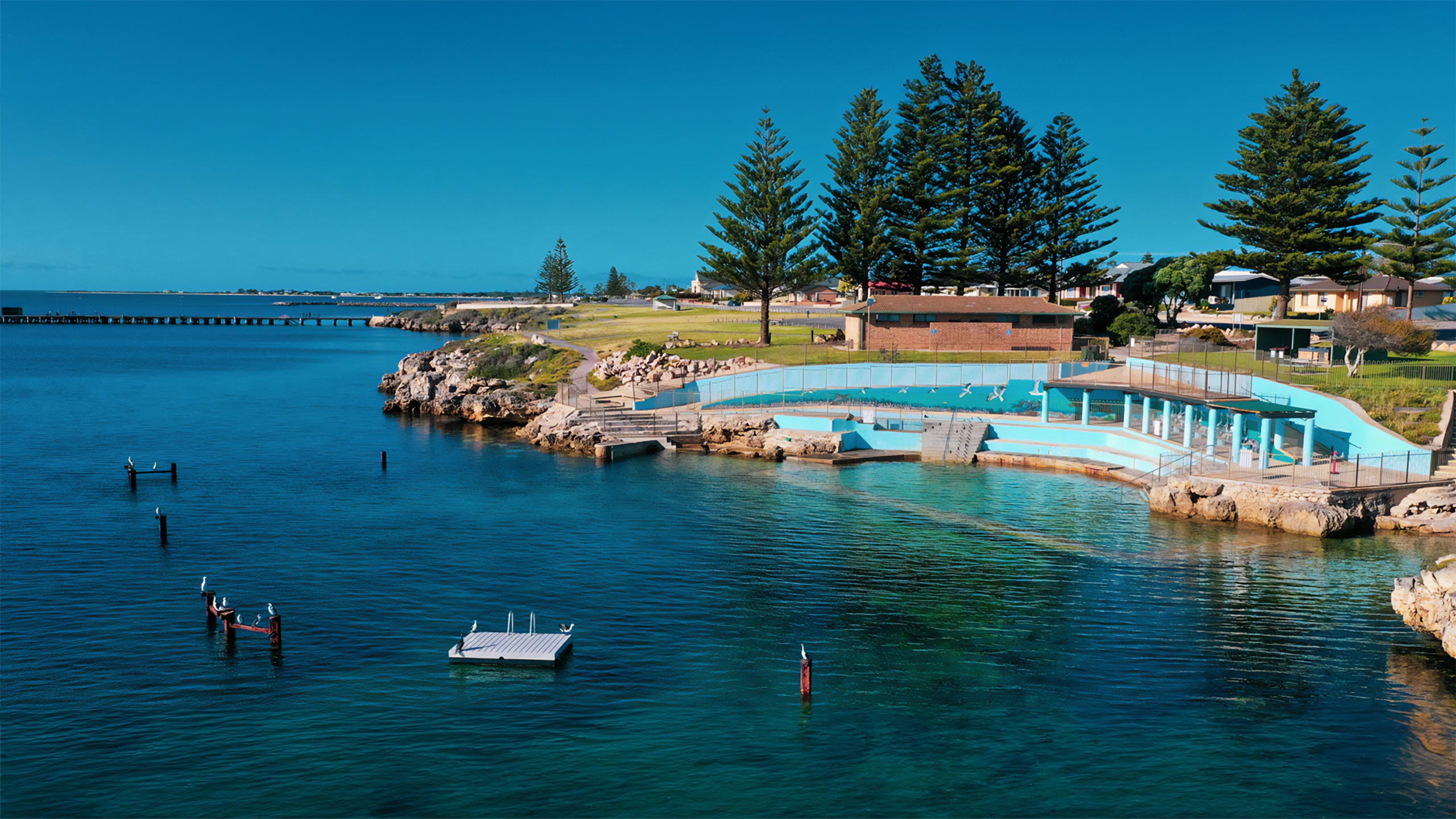 On the Road with Graeme Goodings & Ned McHenry  Discovering Edithburg