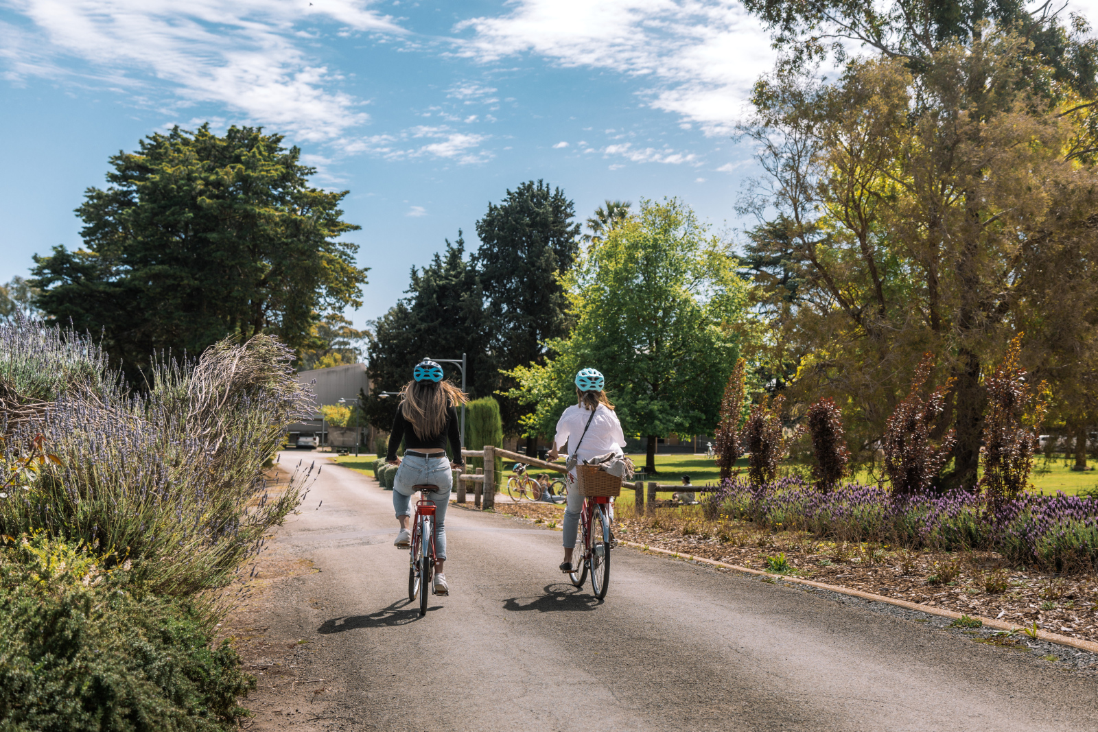 On the Road - Discovering Clare Valley