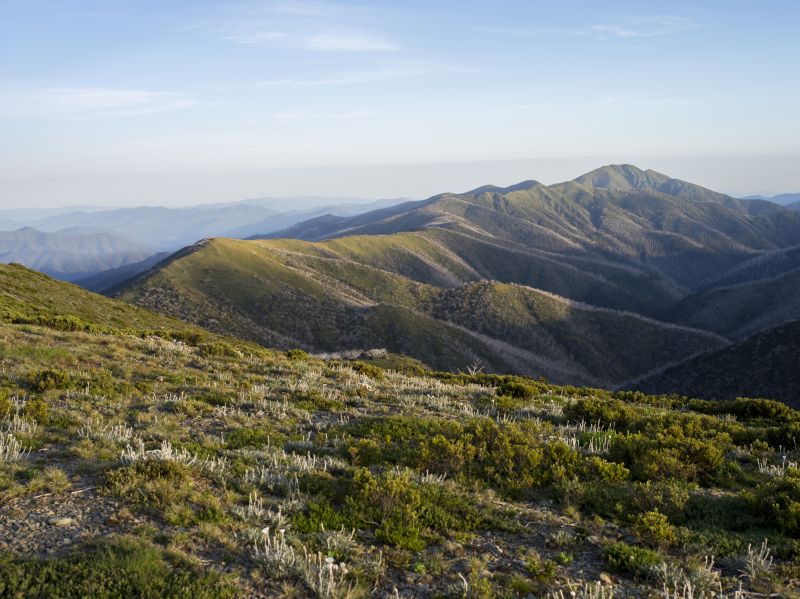 Falls Creek to Mount Hotham
