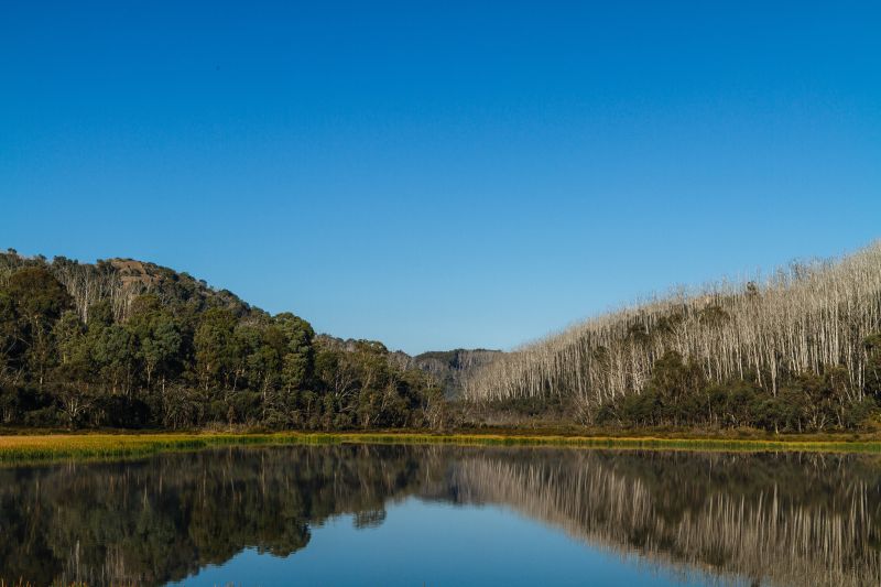 Lake Eildon