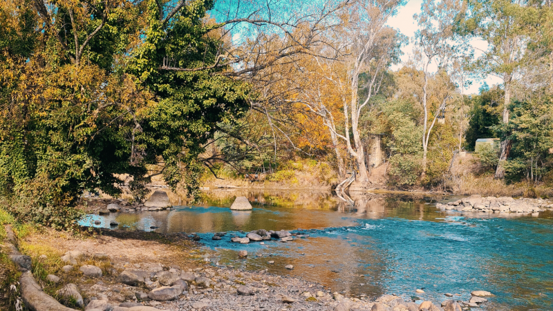 Lost Tribe Blog - Eildon