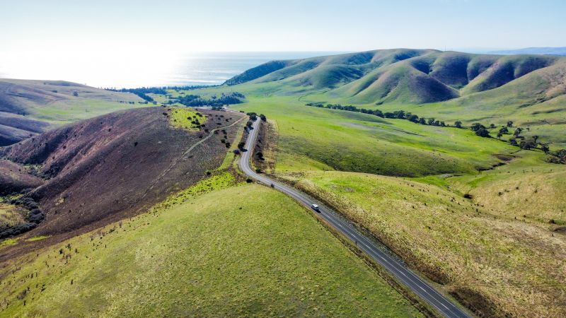 Husbands That Travel - Fleurieu