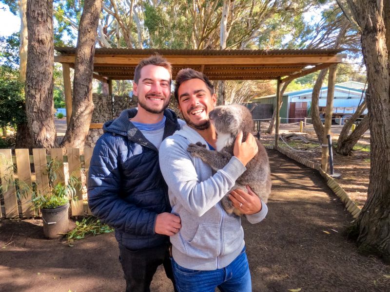Husbands That Travel - KI