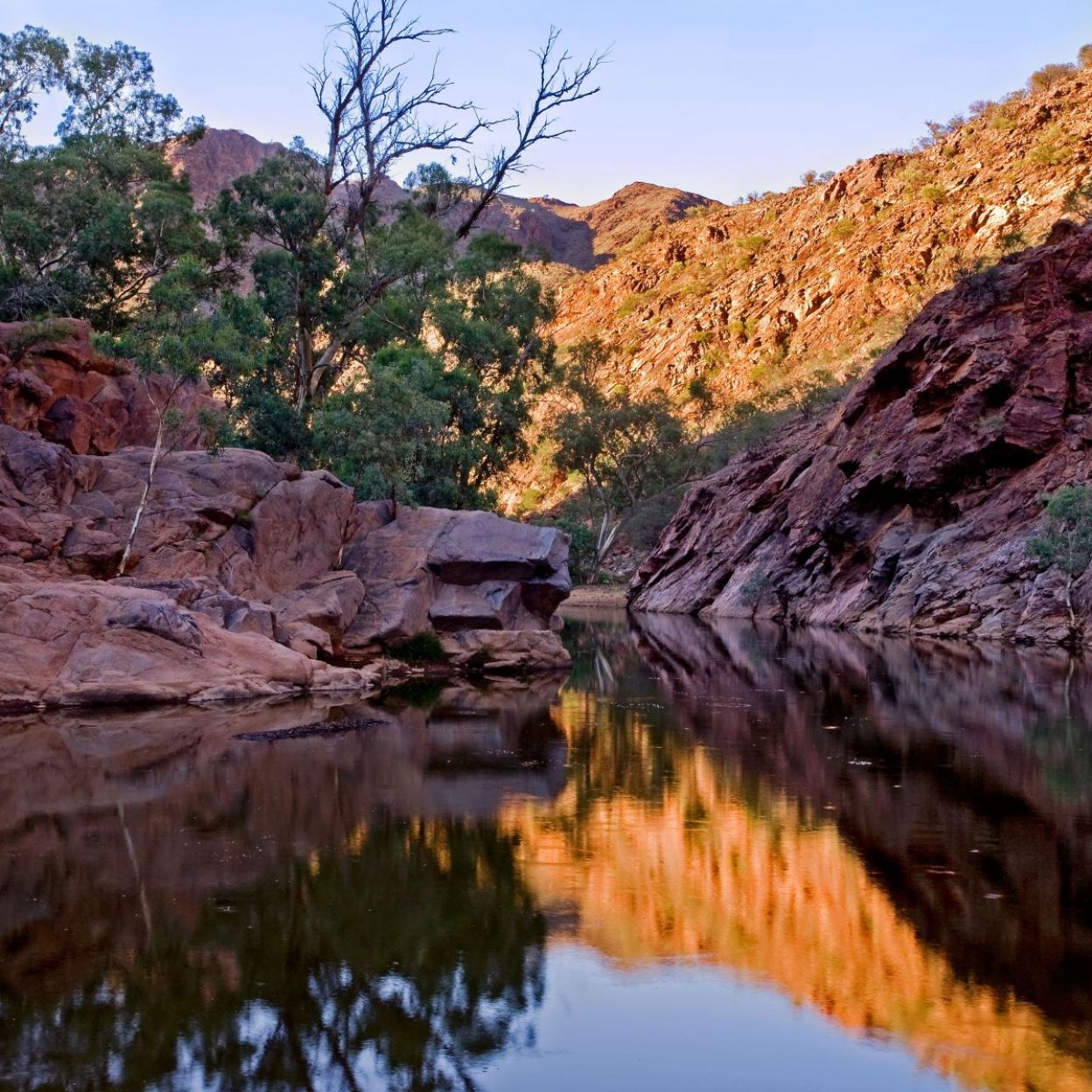 1567_arkaroola_waterhole.jpg
