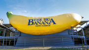 10691