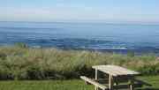 1550_3_picnic_table_view.jpg