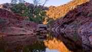 1567_arkaroola_waterhole.jpg