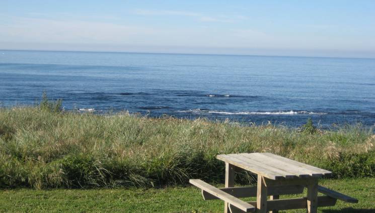 1550_3_picnic_table_view.jpg