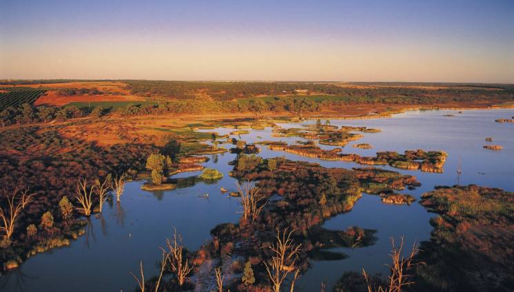 1964_1_banrock_station_wine_wetland_centre_kingston_on_murray_0007680-364-c.jpg