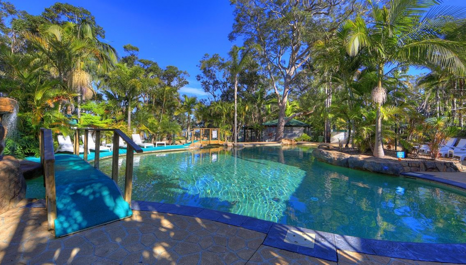 1171_1_big4_koala_shores_swimming_pool.jpg