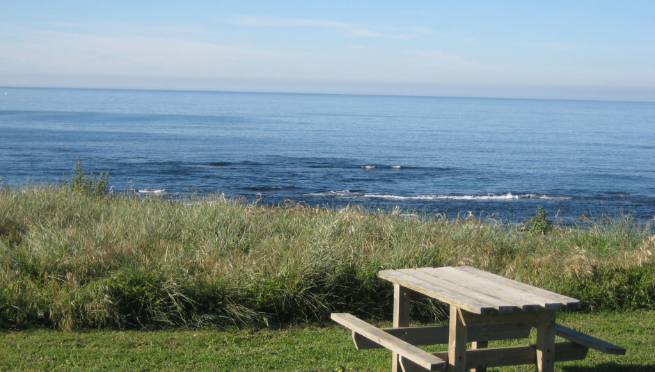 1550_3_picnic_table_view.jpg