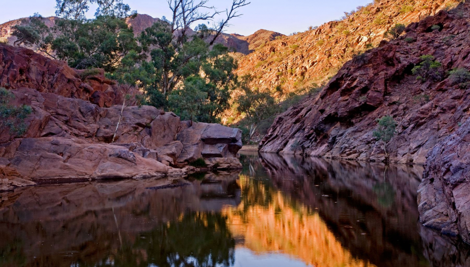 1567_arkaroola_waterhole.jpg