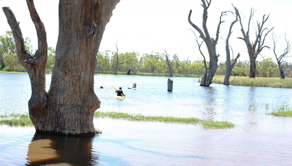 1963_5_lagoon.jpg