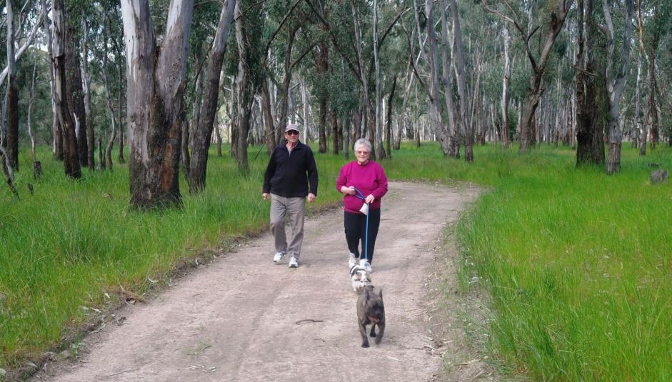 266_3_dog_walking.jpg