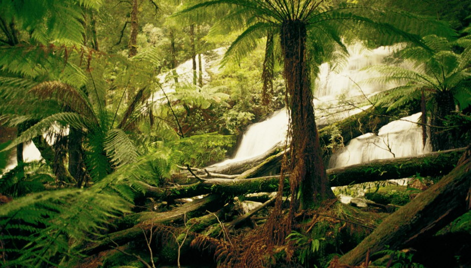 766_1_gippland_lakes_wilderness_5.jpg