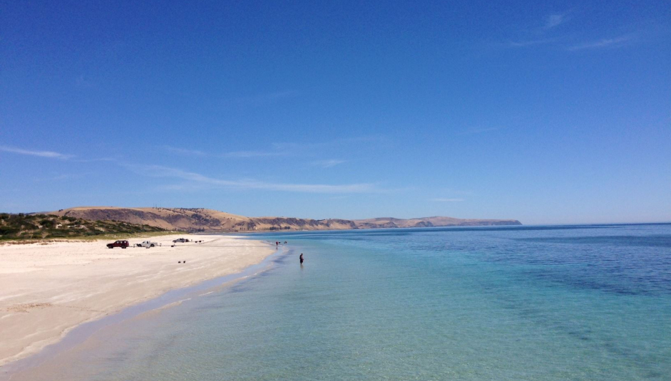 843_1normanville_mel.jpg