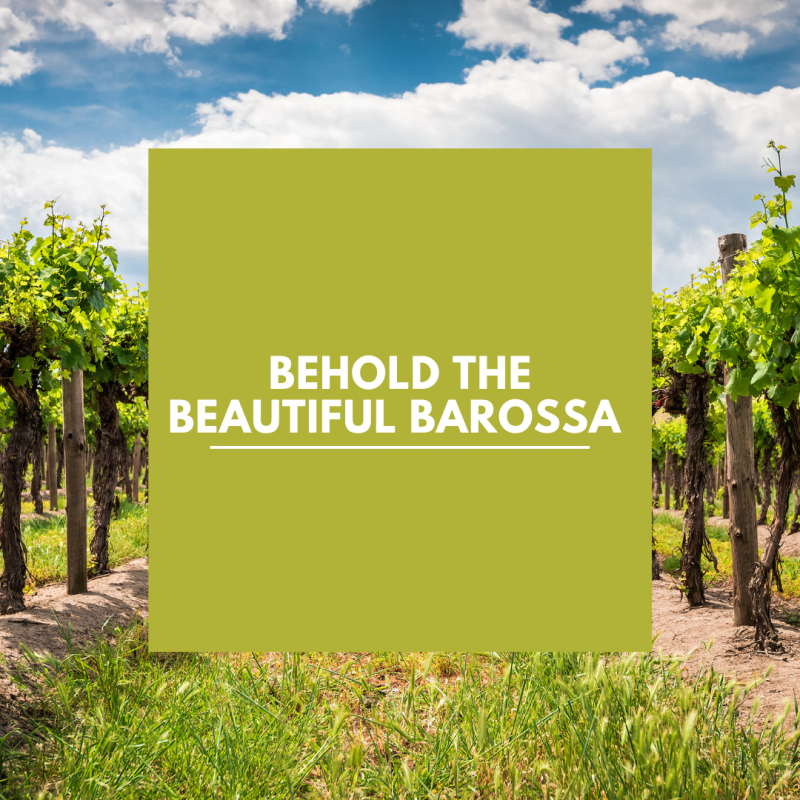 Travel Auctions Travel Auctions